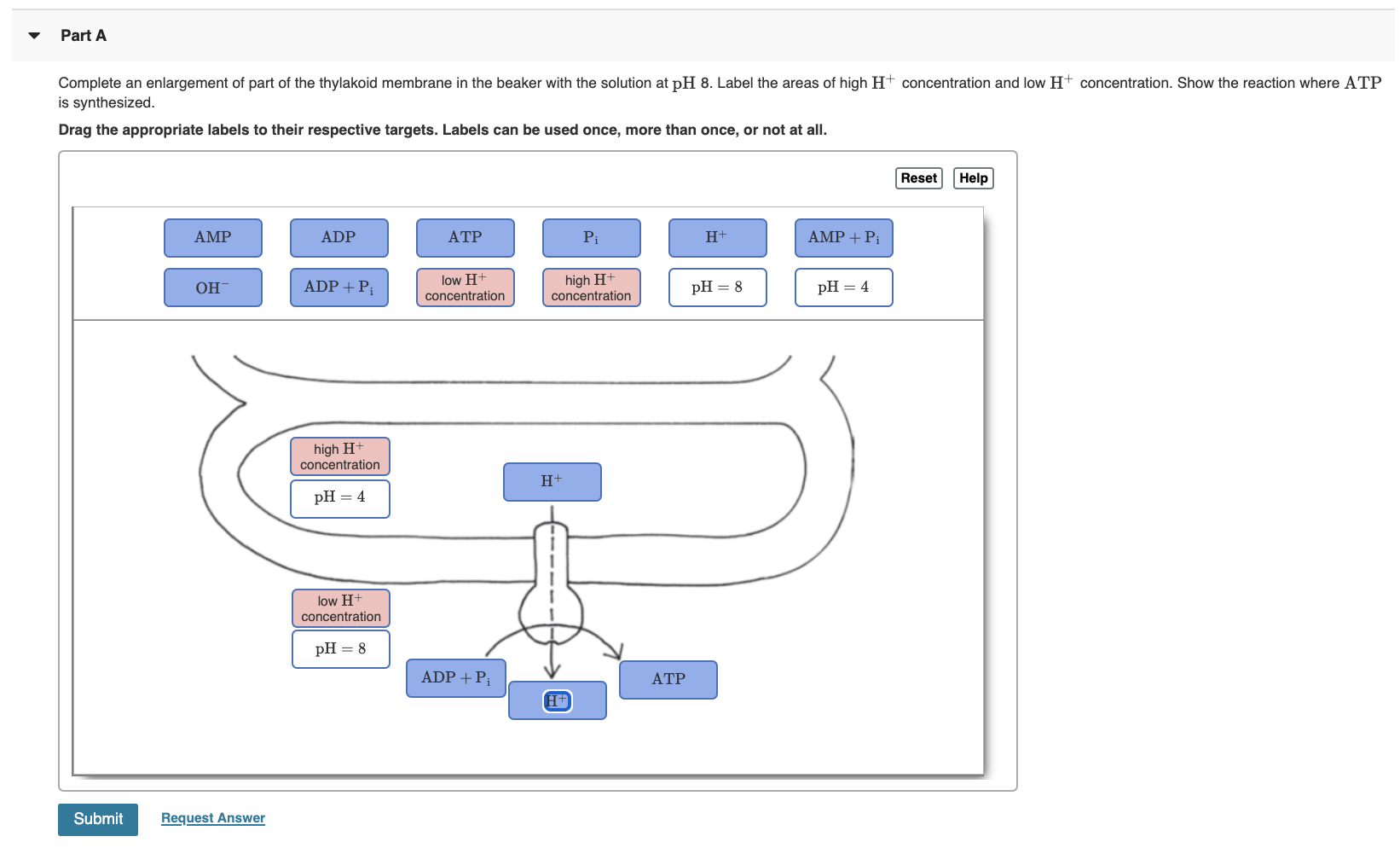 Solved Part A Complete an enlargement of part of the | Chegg.com