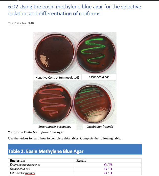 Solved 6.02 Using the eosin methylene blue agar for the | Chegg.com