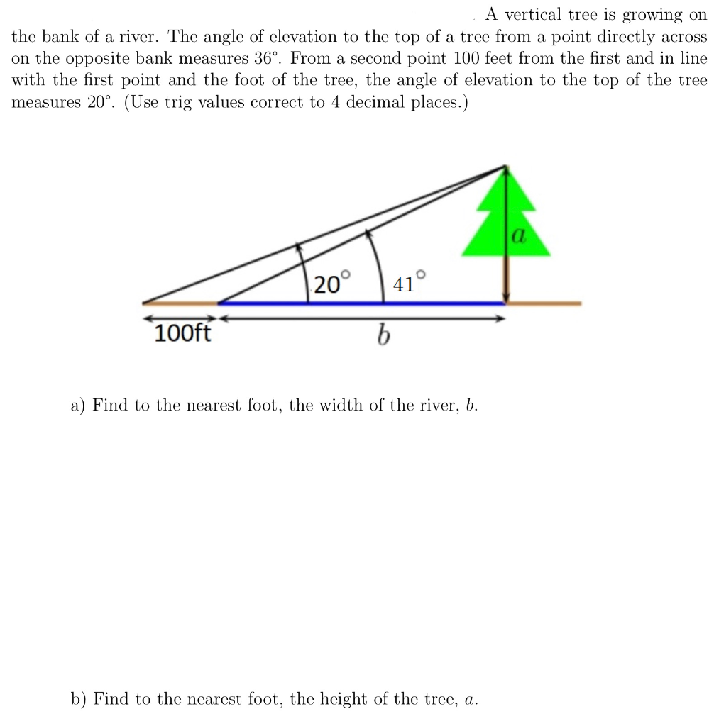 Solved A Vertical Tree Is Growing On The Bank Of A River Chegg Com