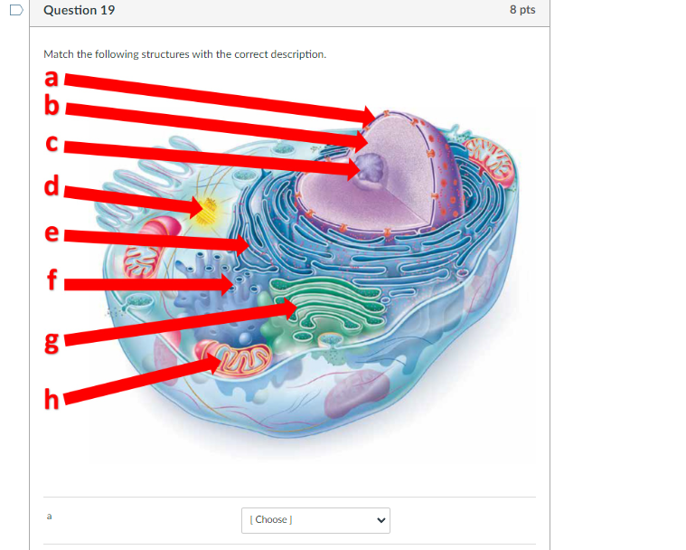 Solved Match The Following Structures With The Correct | Chegg.com