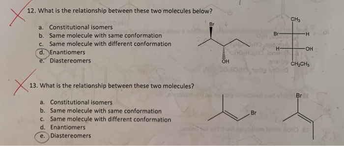 Solved 12. What is the relationship between these two | Chegg.com