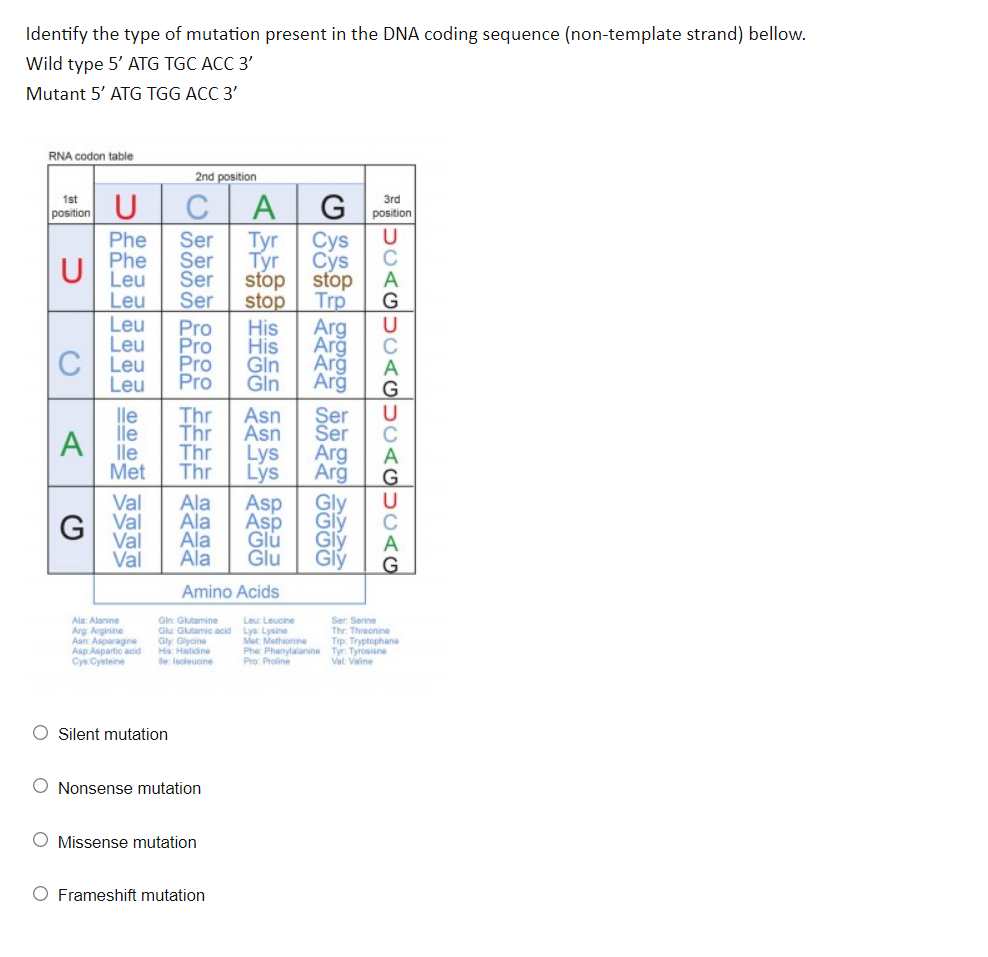 Solved Identify the type of mutation present in the DNA | Chegg.com