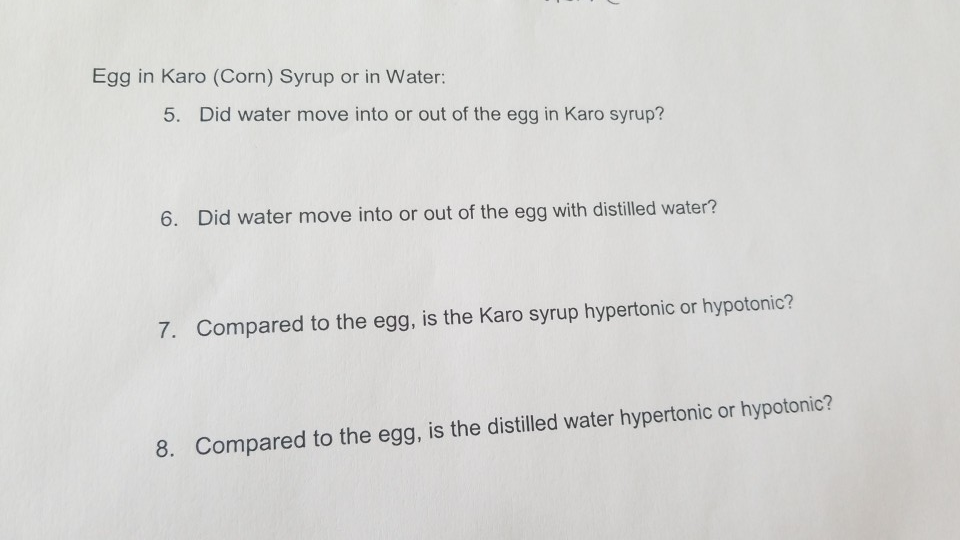 Solved Egg in Karo (Corn) Syrup or in Water 5. Did water
