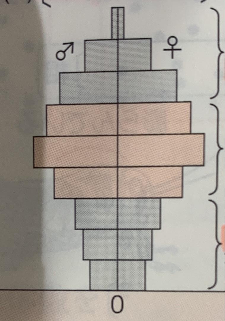 生物8 Flashcards Chegg Com