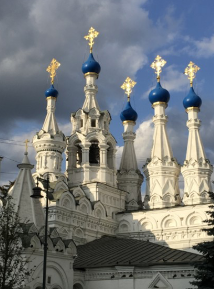 L'Arche des enfants L'odyssée de huit cents enfants de Saint-Pétersbourg 