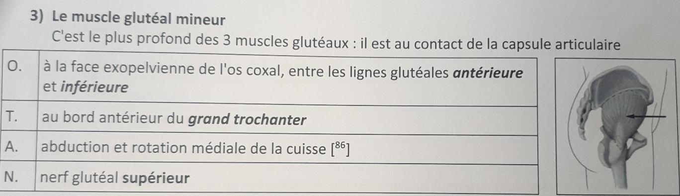 G/én/érique Protections de Genoux et Hanches homologu/ées CE pour Moto Tout-Terrain