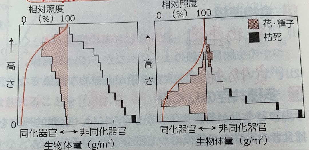 生物8 Flashcards Chegg Com