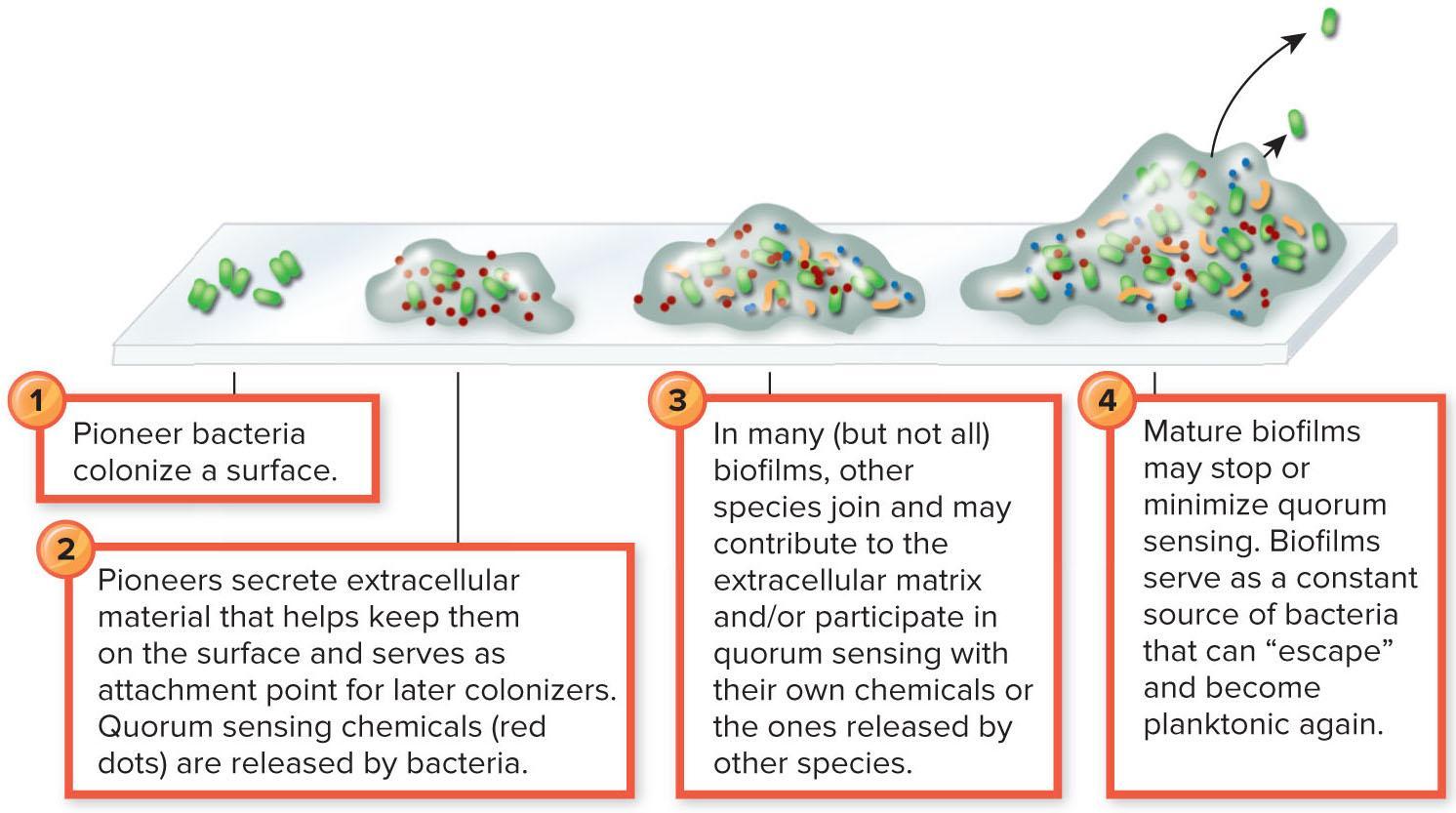 Chapter 7 Concepts micro Flashcards | Chegg.com