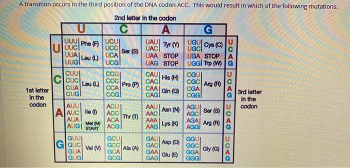 Solved UUU Phon Ser (S) A transition occurs in the third | Chegg.com