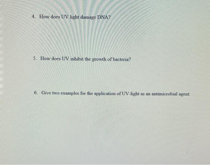 Solved Effect of UV light on bacterial growth UV light