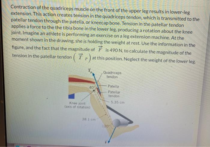 solved-joint-static-analysis-marks-refer-to-the-schematic