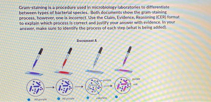 Solved Gram-staining Is A Procedure Used In Microbiology | Chegg.com