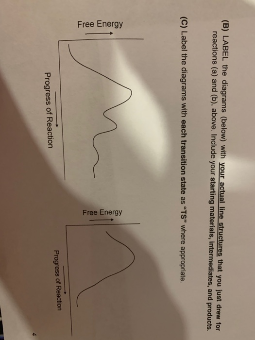 Solved (B) LABEL The Diagrams (below) With Your Actual Line | Chegg.com