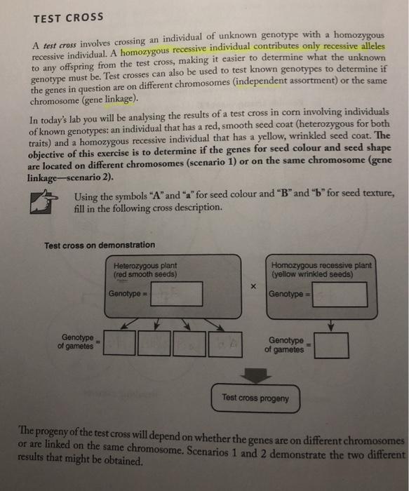 assignment on test cross