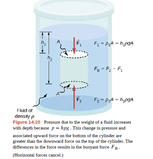 Solved: Referring To Figure 14.20, Prove That The Buoyant Force On ...