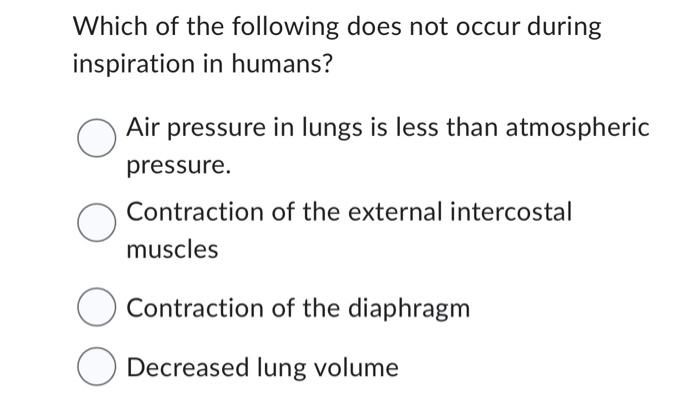 Solved Which of the following does not occur during | Chegg.com