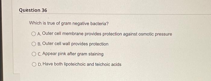 Solved Question 36 Which is true of gram negative bacteria? | Chegg.com