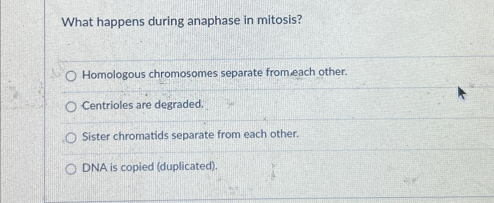 Solved What happens during anaphase in mitosisHomologous Biology Diagrams