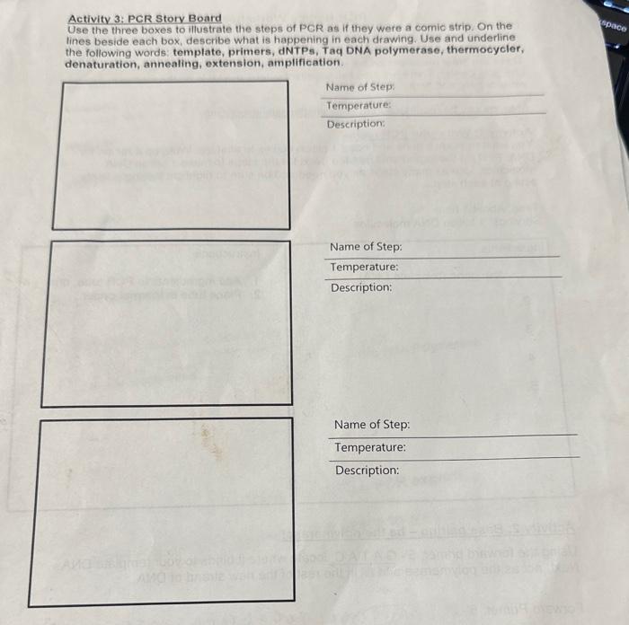 PCR Basics Worksheet Designing a PCR experiment in | Chegg.com