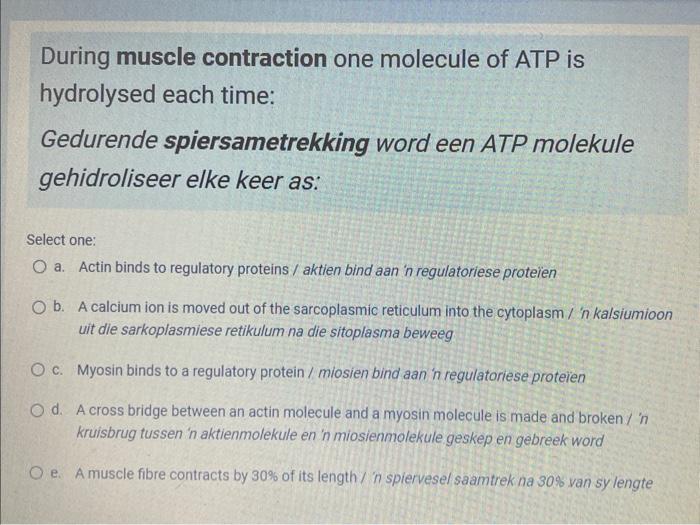 Solved During muscle contraction one molecule of ATP is | Chegg.com