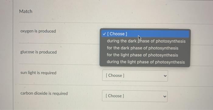 Match oxygen is produced [Choose] during the dark Phase of photosynthesis for the dark phase of photosynthesis for the light