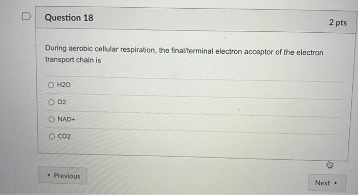 Solved 2 pts D Question 11 Some eukaryotic cells have a | Chegg.com