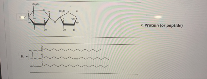 Solved Question Completion Status: QUESTION 10 Match the | Chegg.com