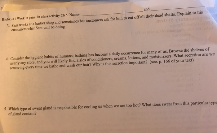 Solved And Biol 241 Work In Pairs In Class Activity Ch 5