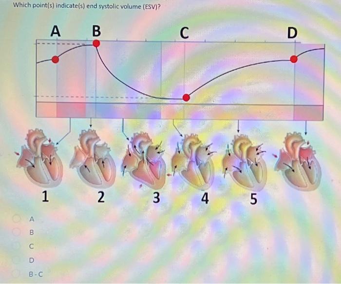 Solved which in the chart a, b, c , or d does thia happen?