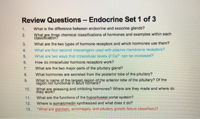 Solved 1 Review Questions Endocrine Set 1 Of 3 What Is Chegg Com