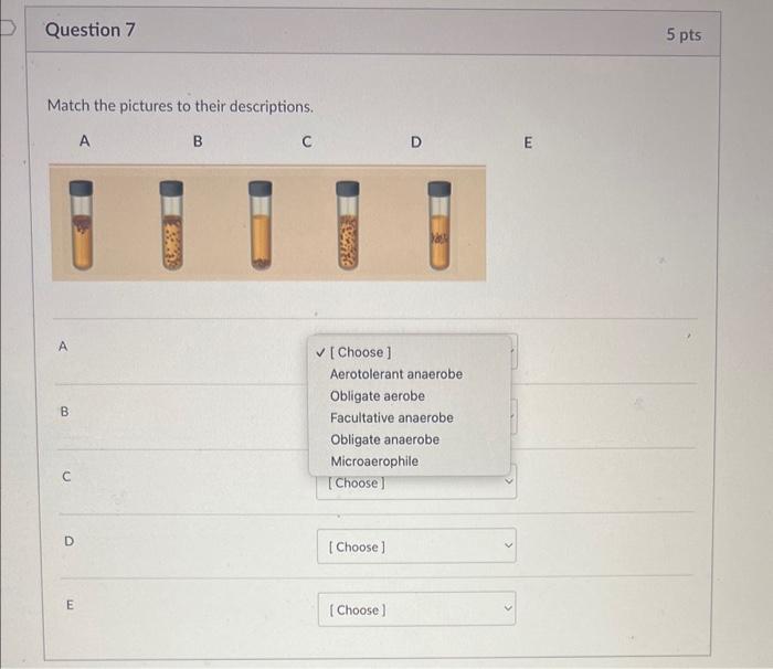 Solved Match the pictures to their descriptions. | Chegg.com