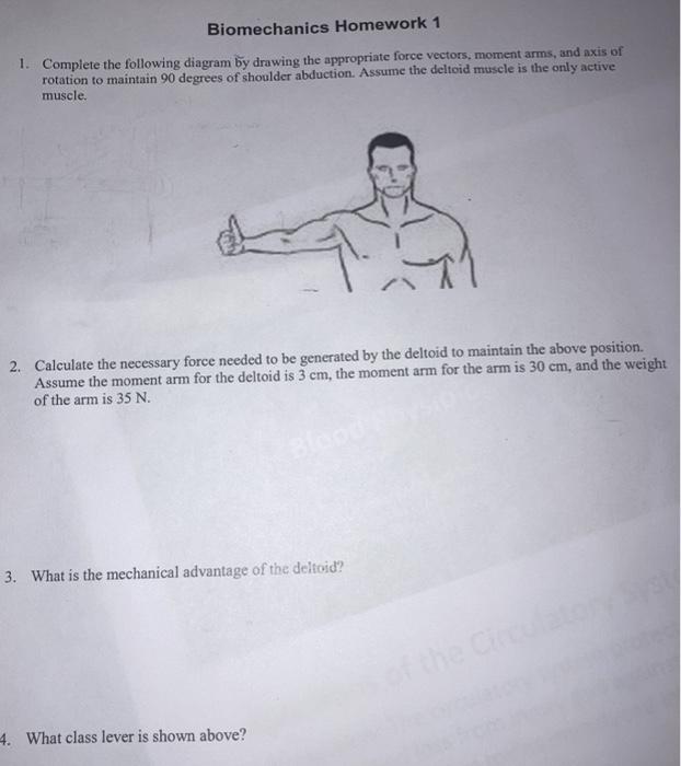 Solved Biomechanics Homework 1 1. Complete the following | Chegg.com
