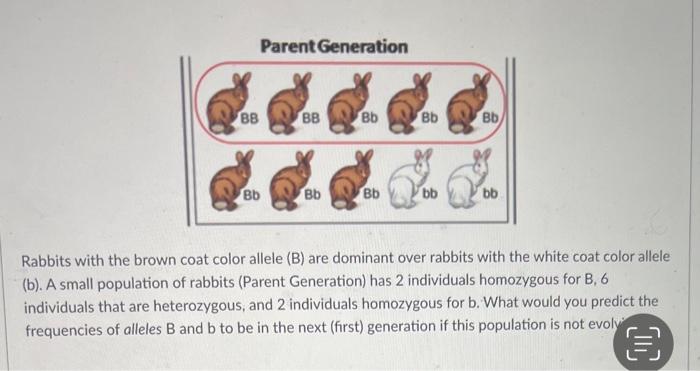 Solved Parent Generation BB BB Bb Bb Bb Bb Bb Bb bb bb | Chegg.com