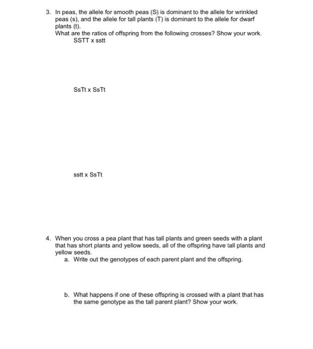 Solved 3. In peas, the allele for smooth peas (S) is | Chegg.com