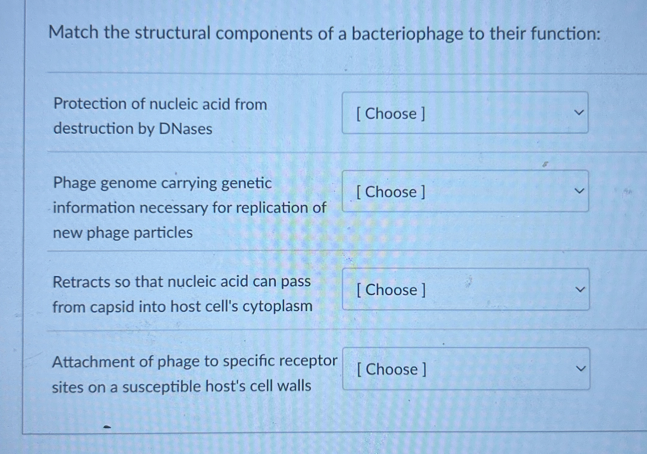 Solved Match the structural components of a bacteriophage to