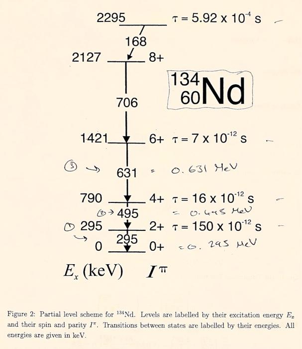 Solved Figure 2: Partial level scheme for 134Nd. Levels are | Chegg.com