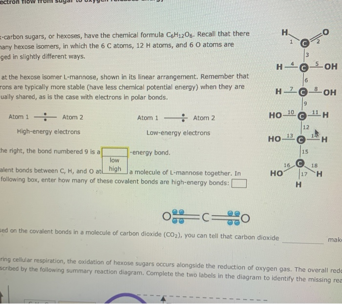 Solved 1. Electron flow from sugar to oxygen releases energy | Chegg.com