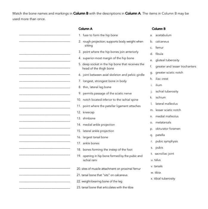 Solved Match the bone names and markings in Column B with | Chegg.com