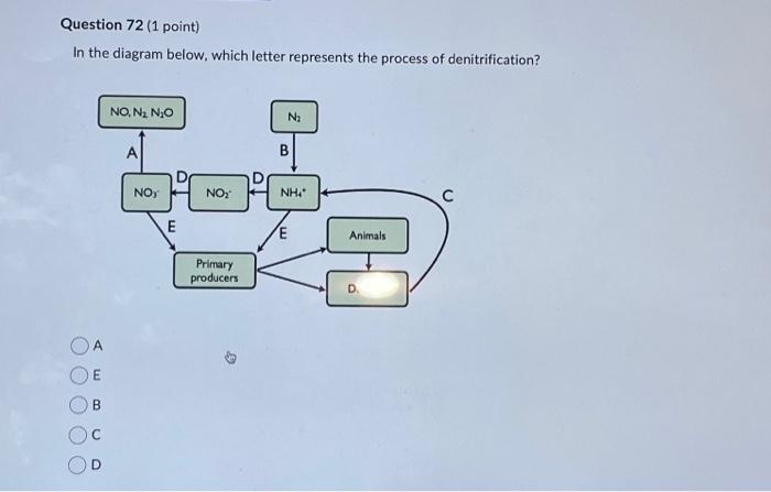 Solved In the diagram below, which letter represents the | Chegg.com