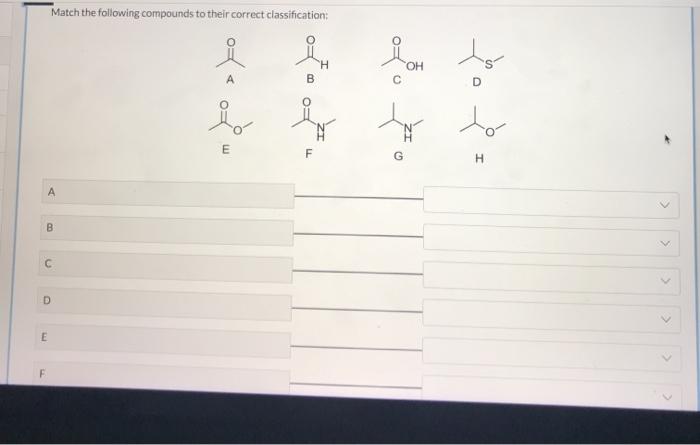 Solved Match the following compounds to their correct | Chegg.com