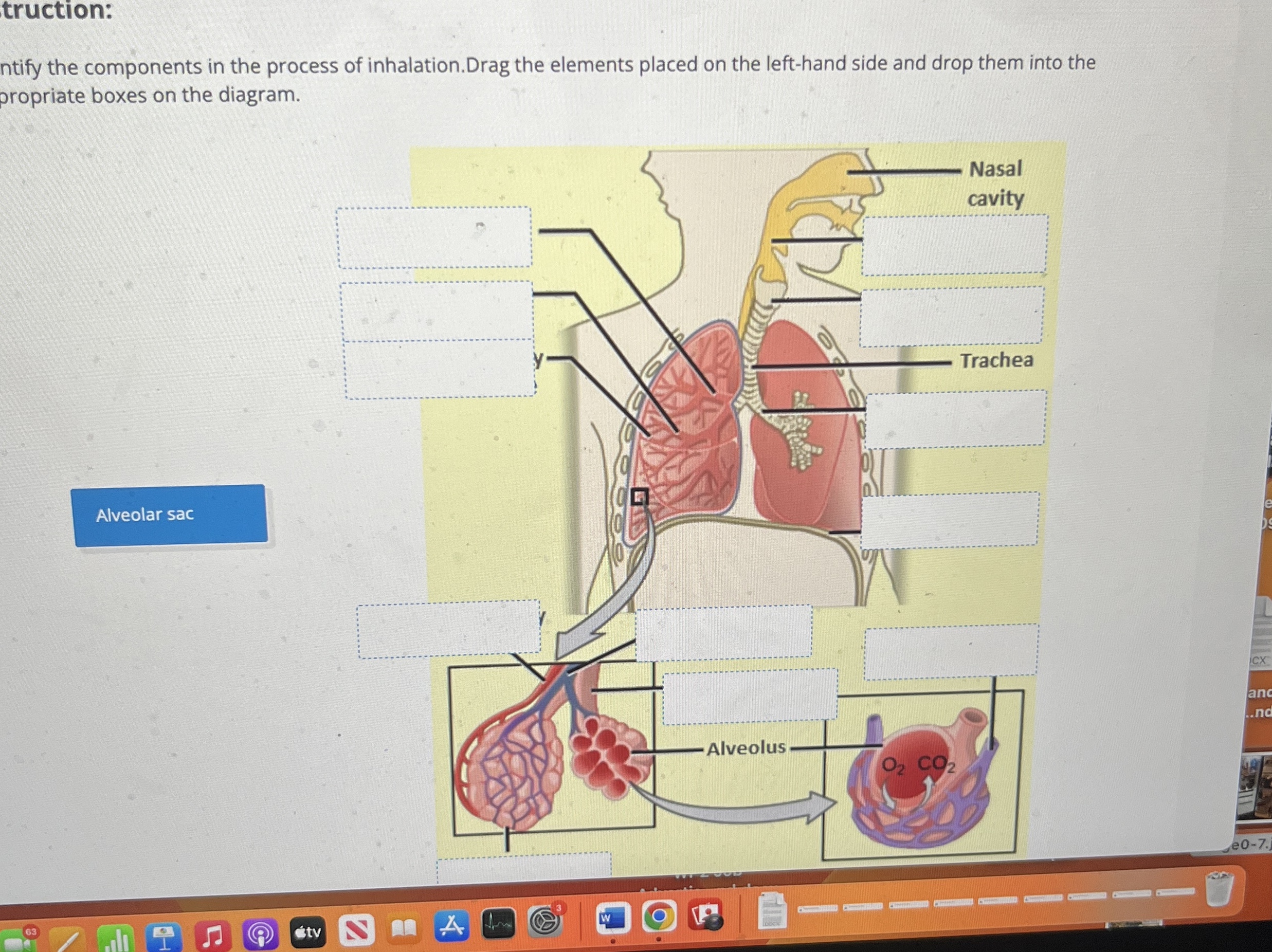 Solved ntify the components in the process of | Chegg.com