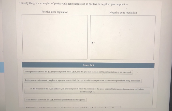 Solved Classify the given examples of prokaryotic gene | Chegg.com