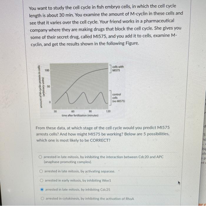 Solved You want to study the cell cycle in fish embryo | Chegg.com