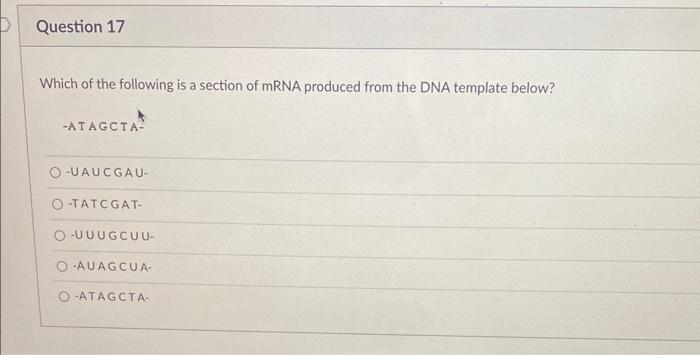 Solved Which of the following is a section of mRNA produced | Chegg.com