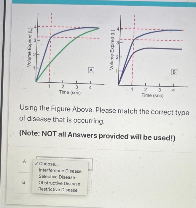 Solved Using the Figure Above. Please match the correct type | Chegg.com