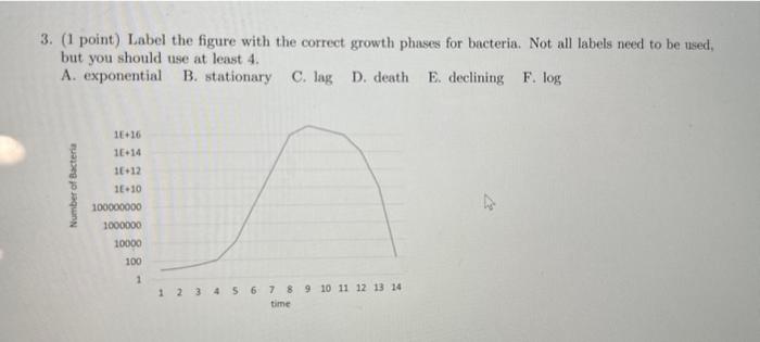 Solved Label the figure with the correct growth phases for a | Chegg.com