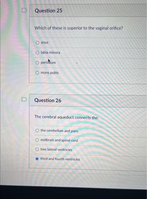 Solved Question 24 The bulbourethral gland is superior to
