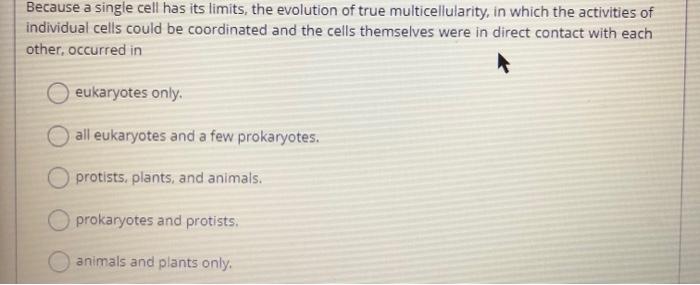 Solved Euglena, a member of the Excavata group of protists, | Chegg.com