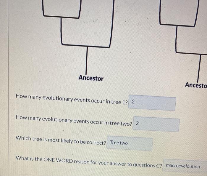 Ancestor
How many evolutionary events occur in tree 1? 2
How many evolutionary events occur in tree two? 2
Which tree is most