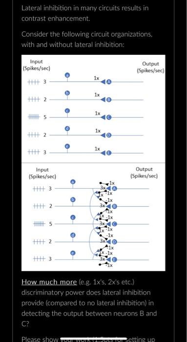 Solved Lateral inhibition in many circuits results in | Chegg.com
